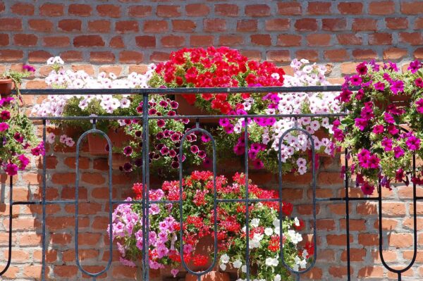 balconi, vicoli e angoli in fiore