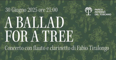 a ballad of a tree